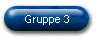 Gruppe 3