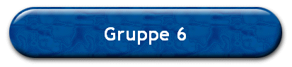 Gruppe 6